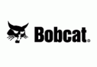 Bobcat